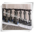 Geschmiedete Stahl A105 Globe Valve (J41Y)